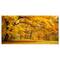 Designart - Golden Autumn Forest - Landscape Photography Canvas Print
